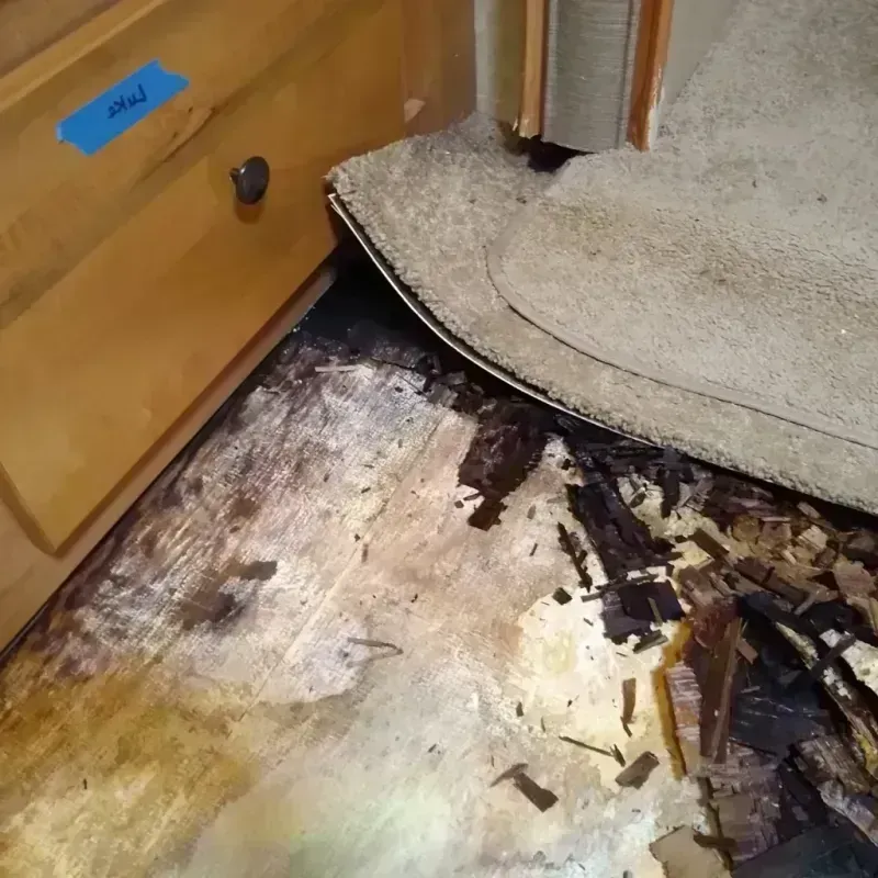 Best Wood Floor Water Damage Service in Overlea, MD